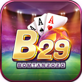 B29 VIP APK icon